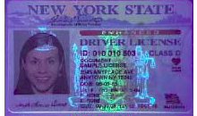 New York Fake ID from BadBoyID.com